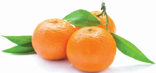 Mandarine Ortanique
